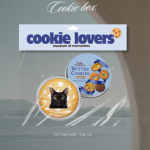 Pin cài cookie